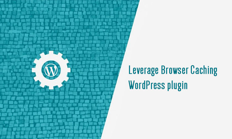 leverage browser caching wordpress w3 total cache