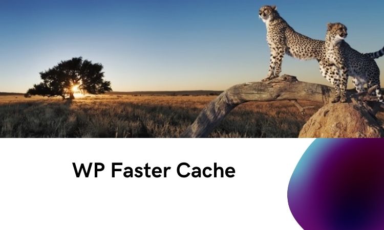 WP Faster Cache