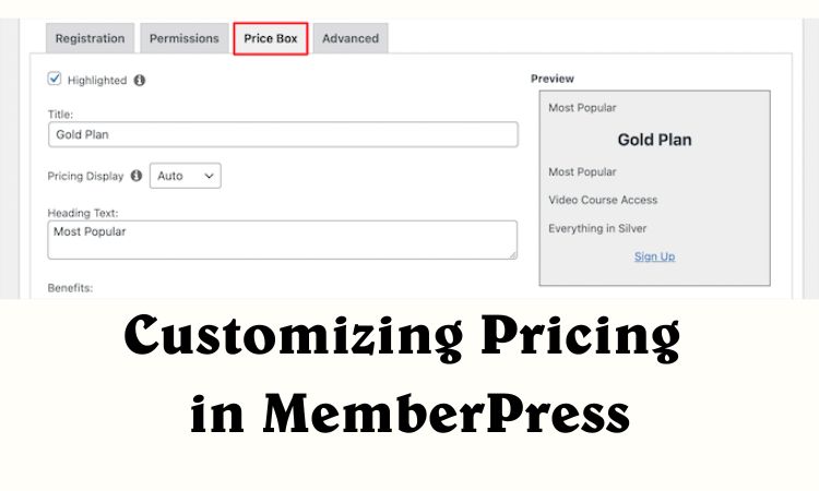 Creating pricing plan in memberpress